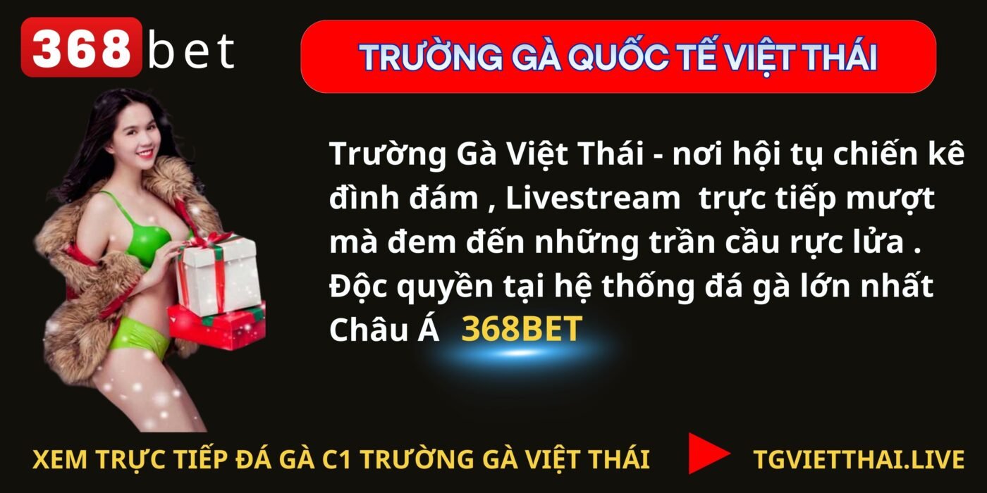 trường gà việt thái độc quyền live tại 368bet